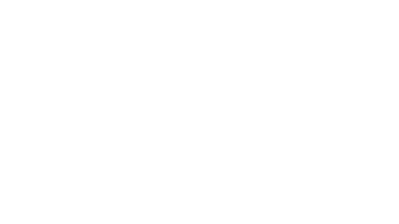 Vilniaus naktinis biuras